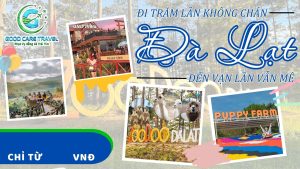 TOUR ĐÀ LẠT 3N2Đ – THAM QUAN VƯỜN THÚ ZOODOO