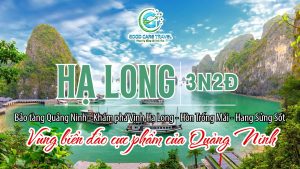 TOUR HẠ LONG 3N2Đ